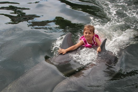 Island Dolphin Care Delphintherapie